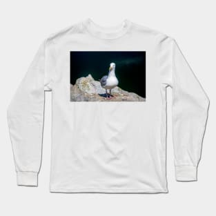 Sea Gull on Granville Island Long Sleeve T-Shirt